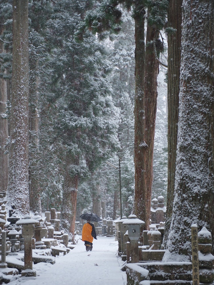 [Image1]Winter scenery of Koyasan, monks on the approach to Okuno-in Temple