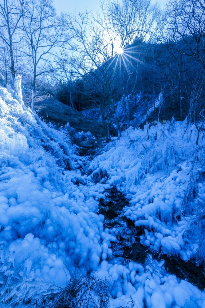 [相片1]暖冬時節的關東平原，也連續幾天處於寒潮之中。我設法找到了冰柱的壯觀景色埼玉縣橫瀨町 Ashigakubo no Icicle2024.1對於垂直構圖，請點擊欣賞