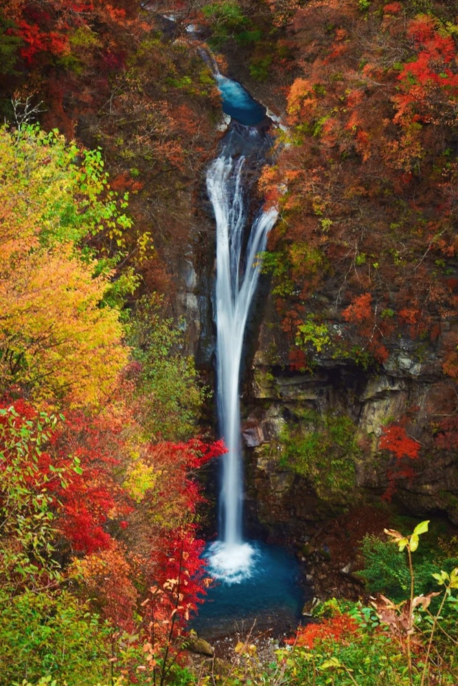 [相片1]駒鳥瀑布被認為是那須最重要的瀑布。它寬3米，從與佐川的懸崖上落下約20米。在秋天，它看起來非常美麗。