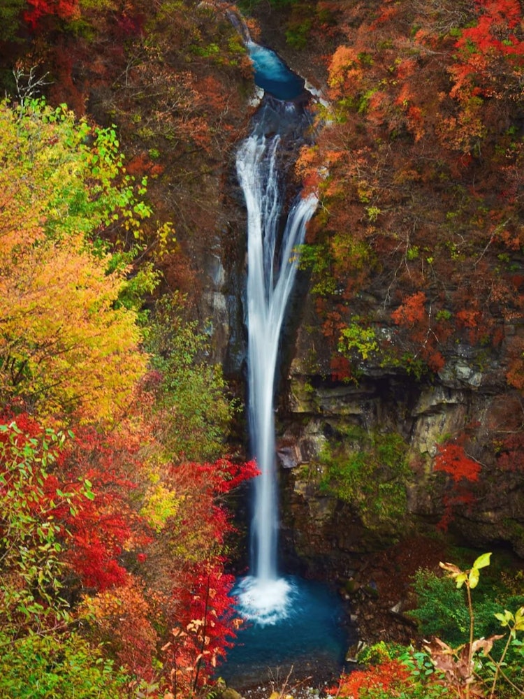 [画像1]那須随一の滝とされる駒留滝。幅は3メートルで、与笹川の断崖絶壁から約20メートルのところに落ちます。秋の間は驚くほど美しく見えます。