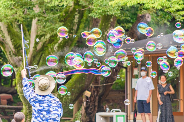 [Image1]Uncle soap bubbles happened to be there when I went for a walk in the park.There was also a watersid
