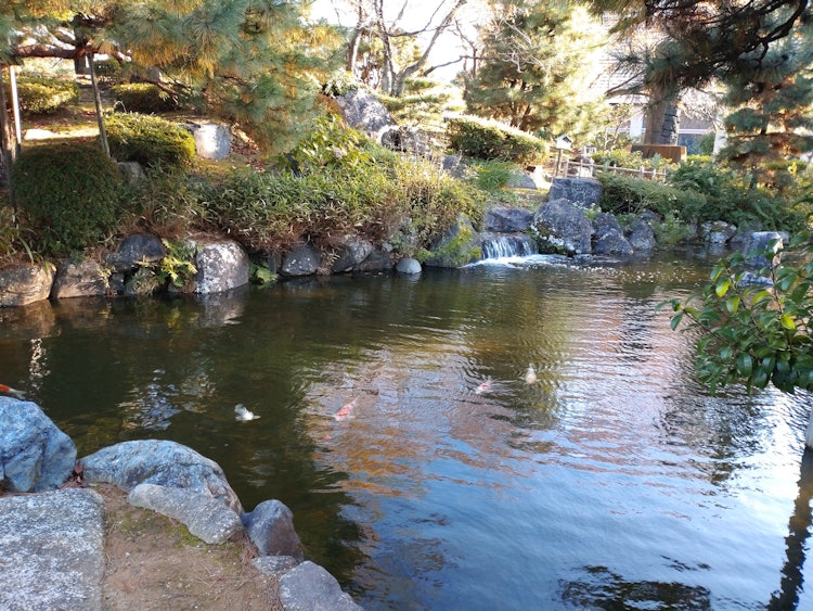 [Image1][Waterfall + autumn leaves + carp]Can you see it?The sunlight was ♪ so pleasant that I couldn't help