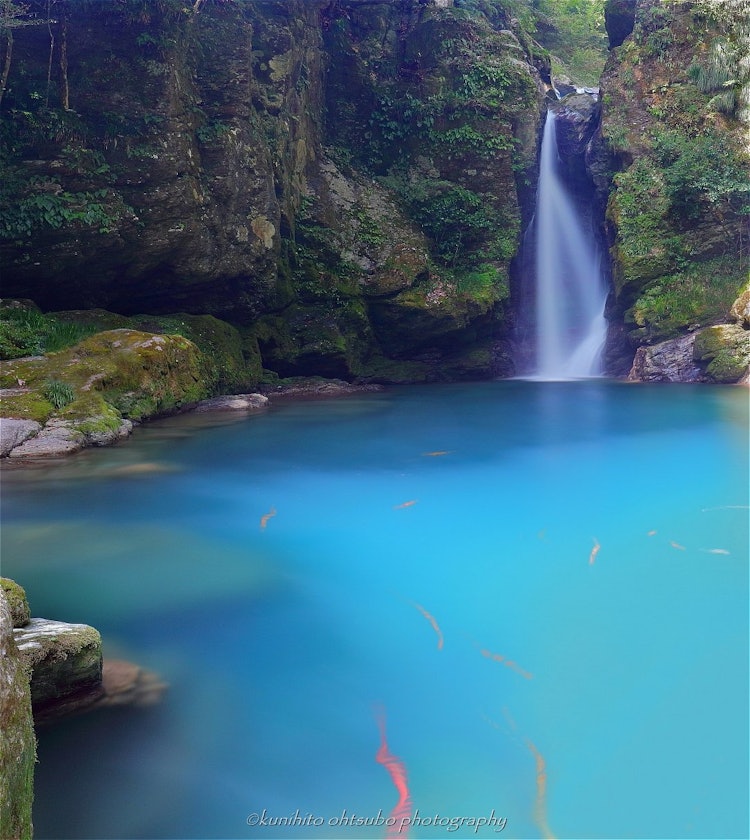 [画像1]「Mysterious blue waterfall」location：高知県吾川郡いの町・にこ淵＊～神秘の青い滝壺～美しい娘と大蛇伝説の舞台となった神秘的な青い滝壺。 水神の化身とされる大蛇が棲む所