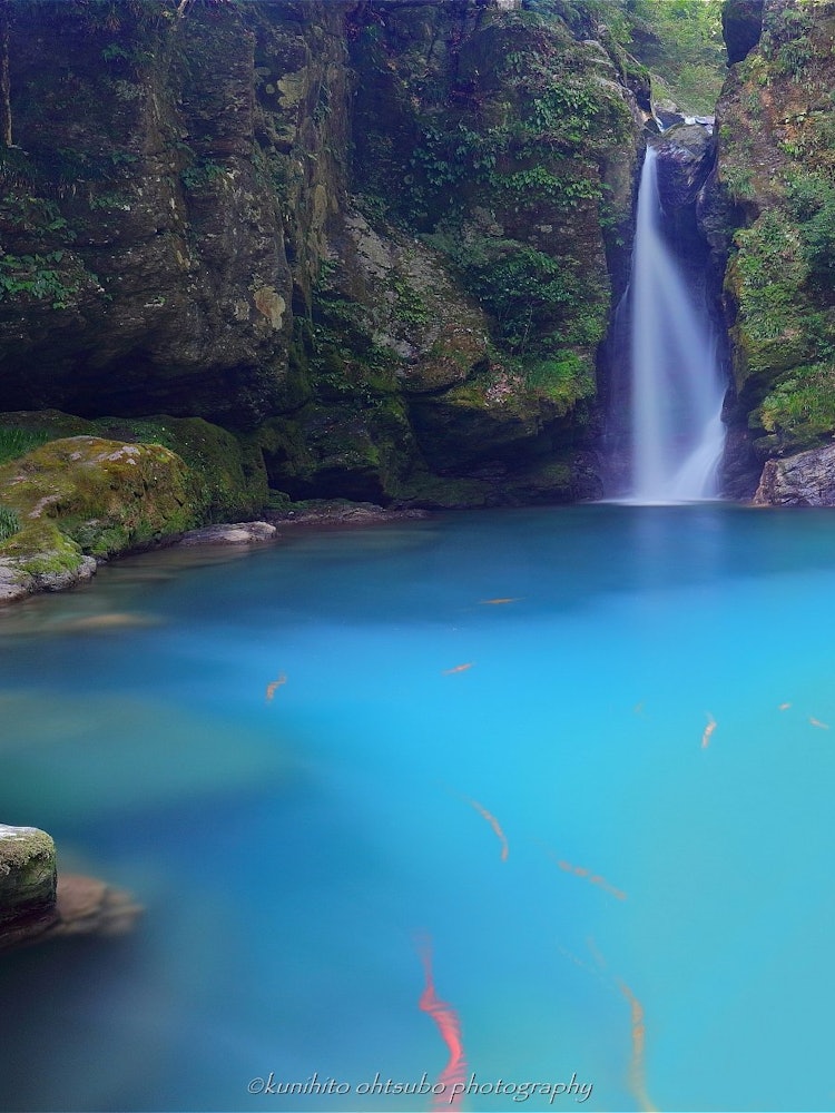 [Image1]「Mysterious blue waterfall」Location: Nikobuchi, Inomachi, Agawa-gun, Kochi＊~Mysterious Blue Waterhol