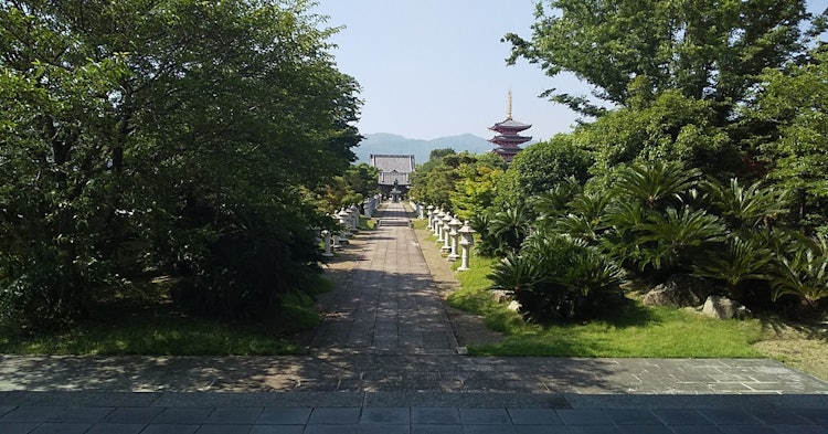 [Image1]A view of Rengein Birth Temple in Tamana City, Kumamoto. In the season of fresh greenery.