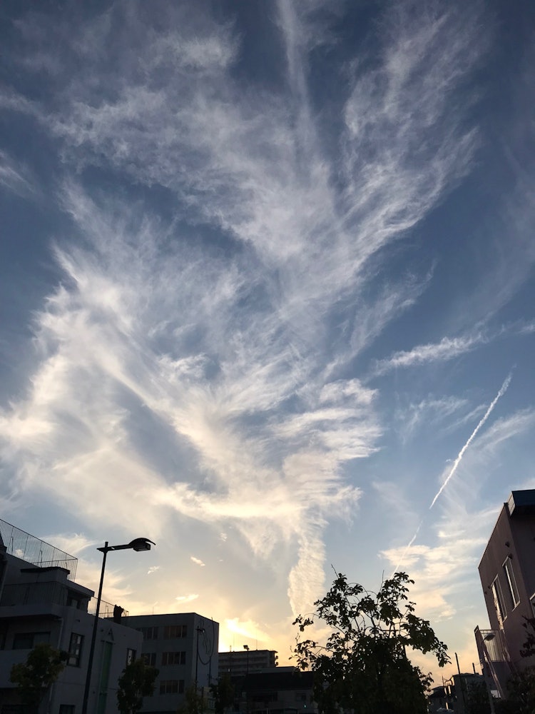 [相片1]那是一朵云，让人联想到从银饰课回来的凤凰，夕阳下即将起飞的感觉，肩膀的僵硬。