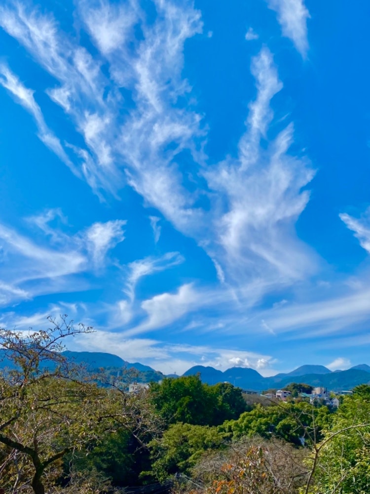 [Image1]The clear autumn sky seen from the castle tower of Odawara Castle.The flow of clouds like a phoenix 