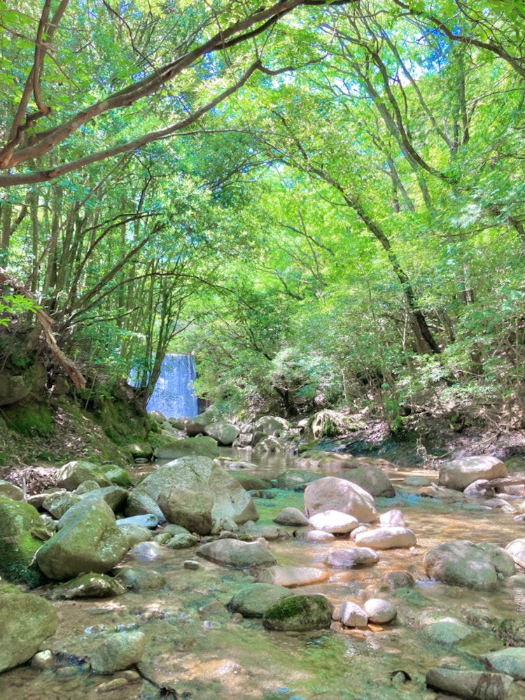 [相片1]三重縣龜山市的關水景去GW的時候，天氣很冷，所以想為暑假報仇。