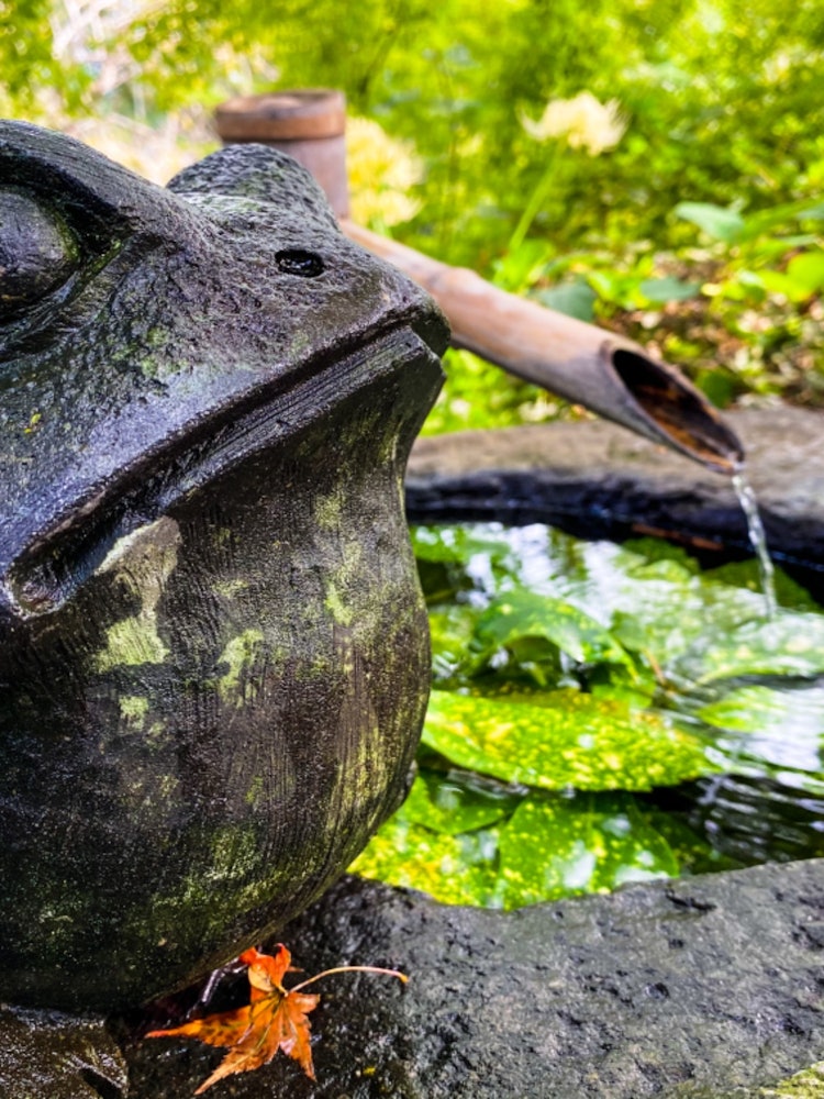[相片1]📍 福冈县尾栗市仁林寺从6月到9月，风铃节！ 上镜斑点⊿ 地理位置辖区内有5000多尊青蛙石像和小雕像，俗称“青蛙庙”。 此外，在6月至9月举行的“风铃节”上，展示了数千个风铃，以创造美丽的声音。仁林