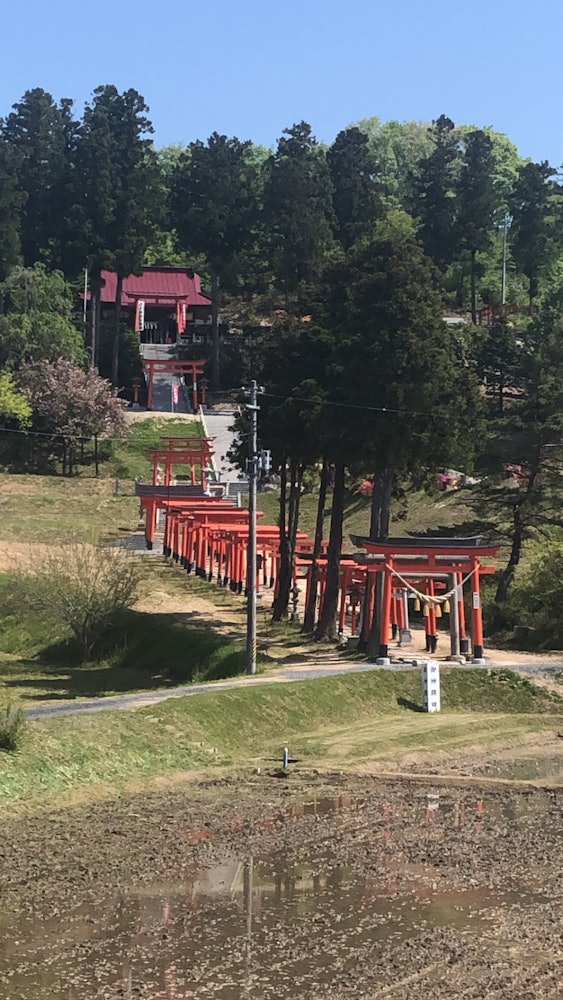 [Image1]It is Takayashiki Inari Shrine near Koriyama.It is Mr. Inari who suddenly exists in the rice fields 