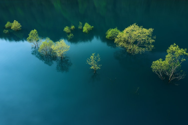 [이미지1]이 사진은 아키타현의 아키오기코 댐에서 찍은 것입니다. 바람이 불지 않고 수면이 거울처럼 매끄럽고 물에 잠긴 숲이 아름답게 보였습니다. 물에 잠겨도 죽지 않고 튼튼하게 자라는 나무