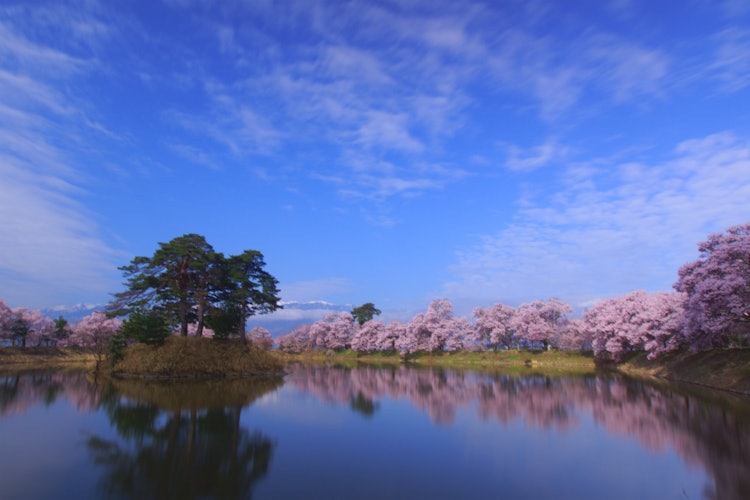 [画像1]長野県の六道の堤です。青空と桜並木の映り込みがとても綺麗でした。