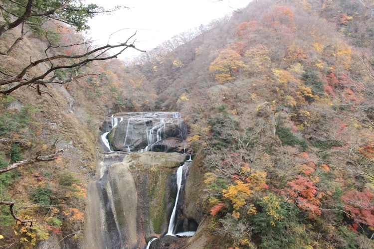 [画像1]茨城県の袋田の滝です。滝の水が少なかったのですが紅葉がキレイだったので行ってよかったてす。