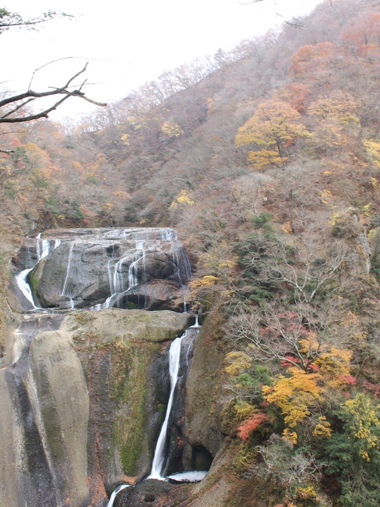 [Image1]It is Fukuroda Falls in Ibaraki Prefecture.There was not much water in the waterfall, but the autumn
