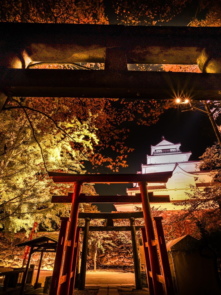 [Image1]Autumn leaves of Tsuruga Castle