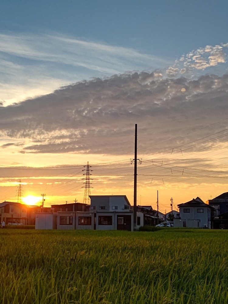 [相片1]富山县的当地风光夏天还是蓝色的稻田和日落~云彩很好，很漂亮~ 😌