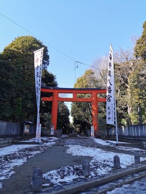 [Image1]First visit ⛄Igusa Hachimangu Shrine in Ogikubo, it was ⛩😊 a large and cozy shrine