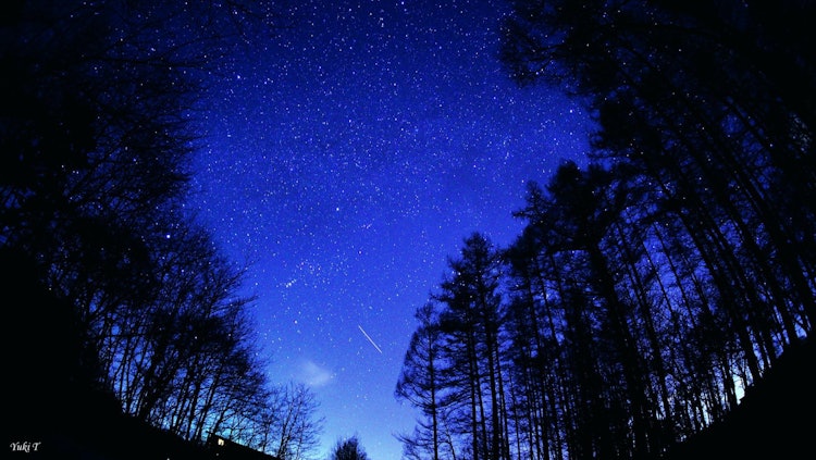[Image1]Shinshu ✨ with a starry sky