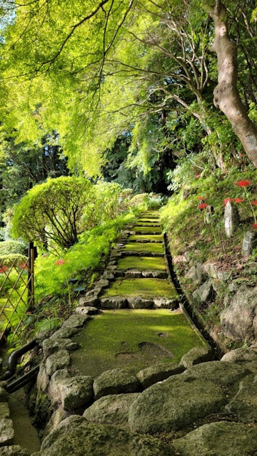 [Image1]At Kujinji Temple, Nara Prefecture.Moss-fumigated approach.