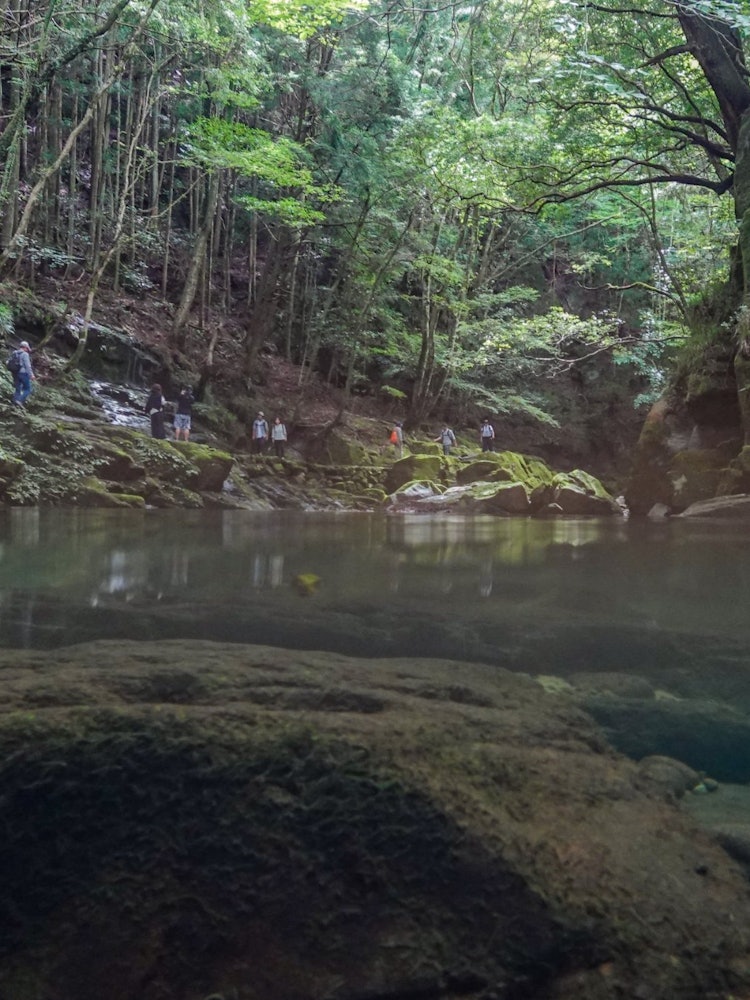 [이미지1]장소명: 미에현 아카메 48폭포물에서 솟아오르는 물고기의 시선으로 어떤 모습일지 상상해보면서, 카메라를 반쯤 물에 담근 채 하이킹을 하는 장면을 촬영했습니다.