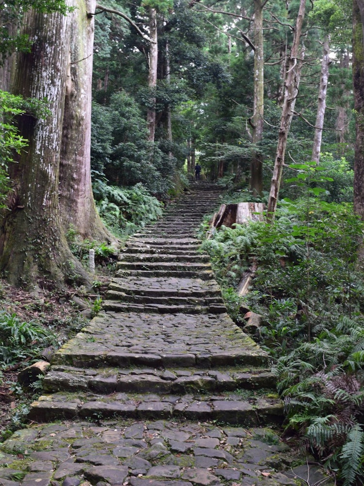 [相片1]熊野古道朝聖路線通往熊野三座山當我看到它的遠處和陡峭時，我驚歎於古代人民的宗教精神的深度。