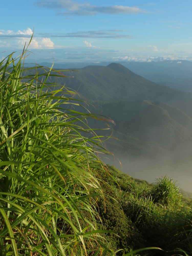 [Image1]Photo taken on August 6, 2022. From the summit of Mt. Takachiho. The summer grass fluttered in the w