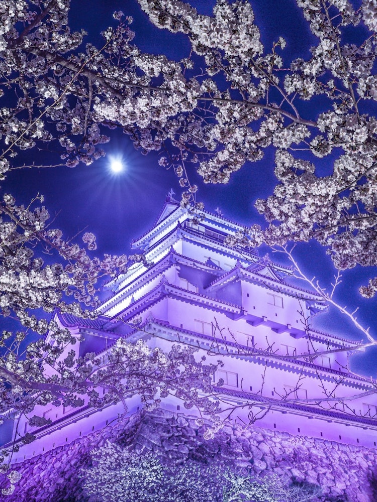 [Image1]Tsuruga Castle illuminated by moonlight
