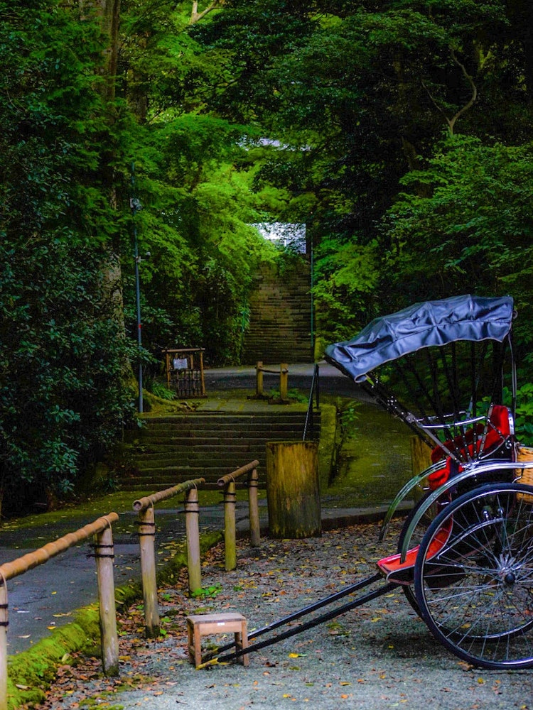 [Image1]In front of the mountain gate of Myohonji Temple. You will be soothed by the dense trees and the chi