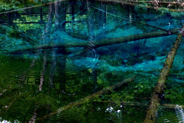 [이미지1]가미노코 연못. 물이 너무 환상적이어서 자연스럽다는 것이 믿기지 않았고, 코로나의 스트레스를 씻어낸 듯한 절경이었습니다.