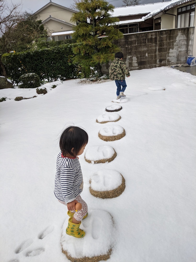 [画像1]家の庭にて。 今年初めての雪の日。 はしゃぎながら出ていった甥っ子と姪っ子をカメラで写しました☆足跡をつけて雪に喜んでる姿が可愛かった(^^)