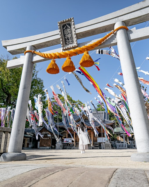 [画像1]あまり知られてないのですが愛知県蒲郡市にある八剱神社の鯉のぼりがすごいですとにかくたくさんの数が風に乗って一斉になびく姿は必見です