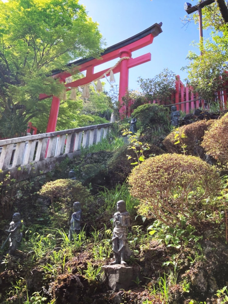[Image1]#Takaosan Yakuo-in In the midst of the beautiful torii gate and the surrounding greenery, the statue