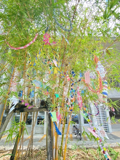 [Image2]It's been a long time since I updated.Today we decorated Tanabata 🎋.July 7th is Tanabata. I hope tha