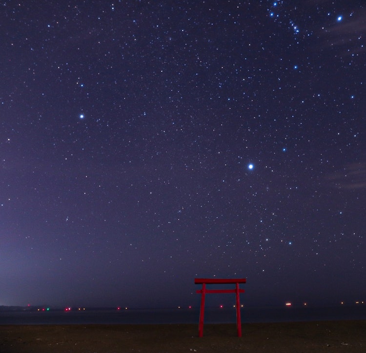 [이미지1]동일본 대지진 후 설날에 세워진 도리이.아침과 밤의 아름다운 야생 해안