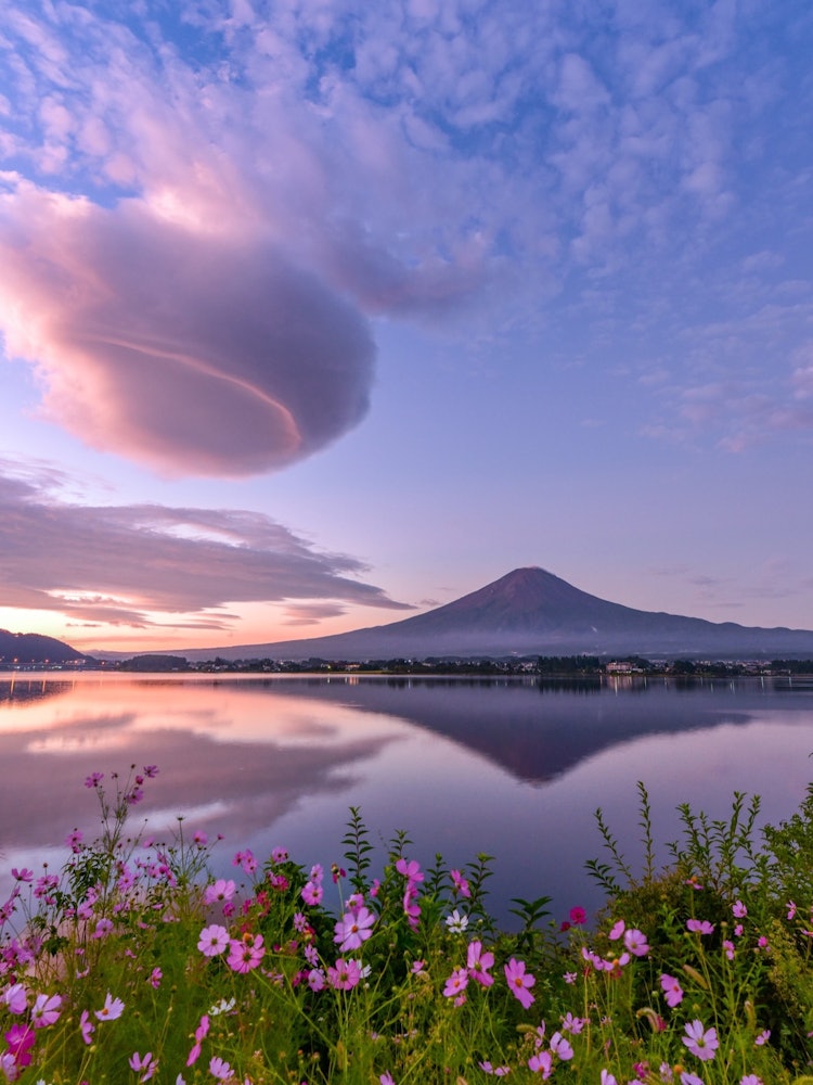 [Image1]Obsessed with the charm of Mt. Fuji