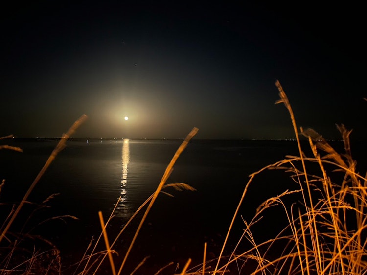 [相片1]我在长崎旅行时碰巧看到了月光。这种东西在瑞典语中被称为MÅNGATA。