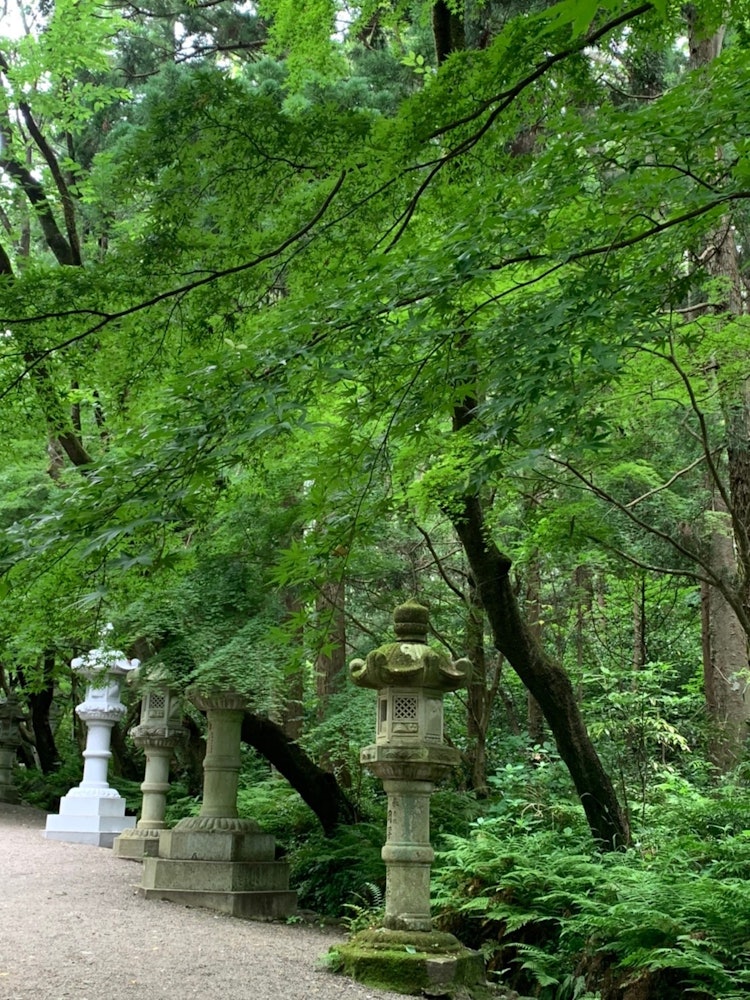 [Image1]The charm of Japan is not only Fuji Mountain or Shibuya, but also a secret spot around neighborhood 
