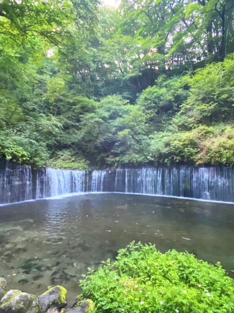[Image1]◈Shiraito Falls in Karuizawa, Nagano Shiraito means 