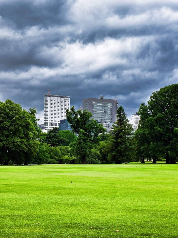 [Image1]The dramatic cloud and the fresh green of rainy season in front of the famous cityscape of Tokyo mak