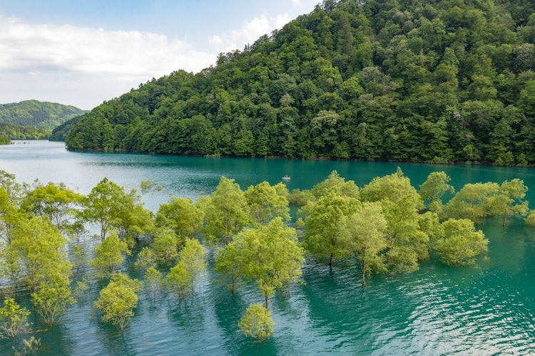 [相片1]据说玉川的淹没森林每年只出现一个月。 当您开始变热时让您感到神清气爽的风景是让您想再次访问的蓝色风景。