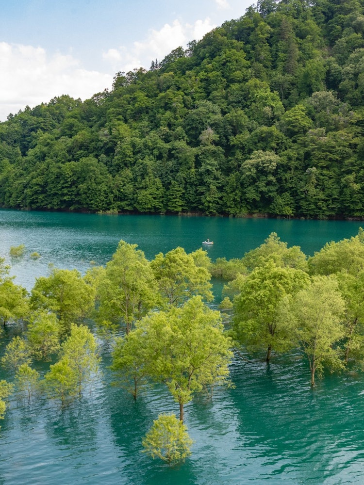 [이미지1]다마가와 강의 물에 잠긴 숲은 일년에 한 달 동안만 나타난다고 합니다. 더워지기 시작하면 상쾌한 기분을 느끼게 하는 풍경은 다시 방문하고 싶어지는 푸른 풍경입니다.