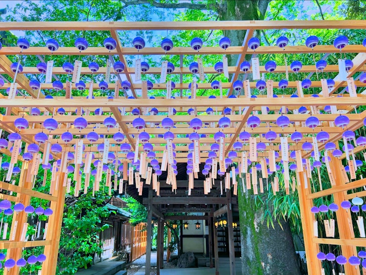 [画像1]24年6月1日撮影。川越氷川神社の風鈴です。 🎐