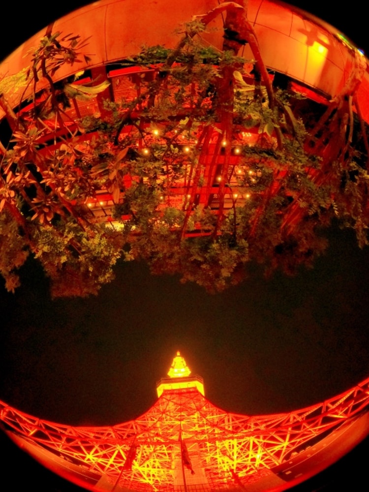 [相片1]我用GoPro的超广角镜头拍了一张东京铁塔的照片！一到东京铁塔，我想爬我想看我希望来自世界各地的人们回到东京塔。