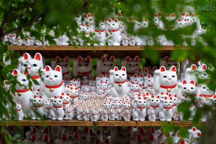 [Image1]It is also called a cat temple, Gotokuji Temple.There are a lot 🐈 of cat figurinesPhotography equipm