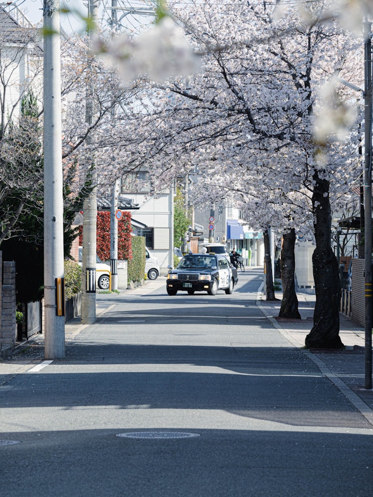 [Image1]Street of Nishimukohi Station, Muko-shi, Kyoto.You can admire the quiet scenery on the street where 