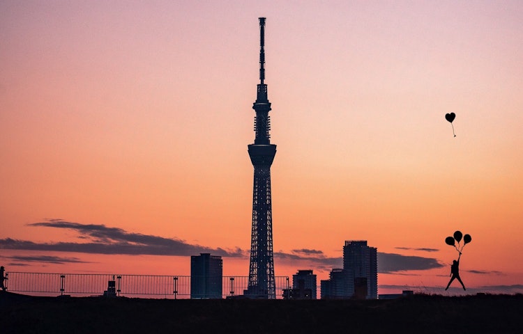 [Image1]Sky tree at sunset.This view from downtown is exceptional.