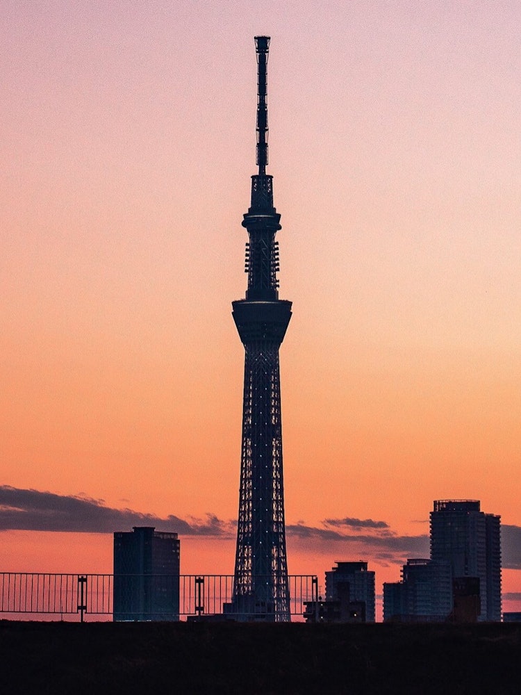 [Image1]Sky tree at sunset.This view from downtown is exceptional.