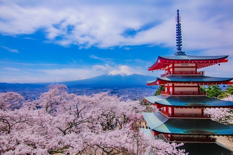[相片1]說到櫻花景點，這裡 🌸🌸富士山、中靈塔、櫻花和日本是春天的合適去處。 心情店的富士山也在這個時候出現了。從山梨縣富士吉田市的新倉山淺間神社出發 ⛩#櫻花#攝影比賽#富士山#新倉山淺間神社#絕佳的景色#