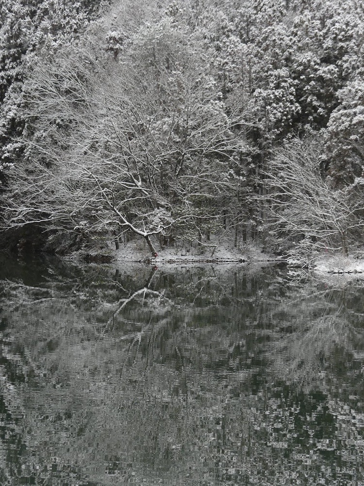 [画像1]「雪の漆谷池」この池は、「なかじまロマン峠道の駅」の裏にあります。 朝方の雪化粧でとてもきれいでした。
