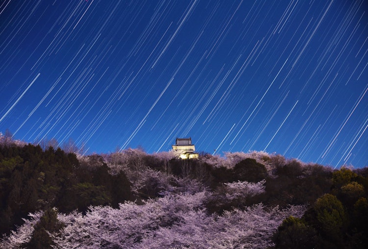 [이미지1]촬영지: 에히메현 이마바리시 하가타쵸 카이야마성봄의 세야마 성과 밤하늘의 콜라보레이션